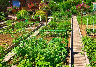 Huerto ecológico de permacultura